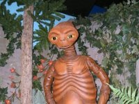 photos 2000-200902291